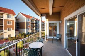 Beautiful Hotel in Mountain Vista - Studio Sleeps up to 4